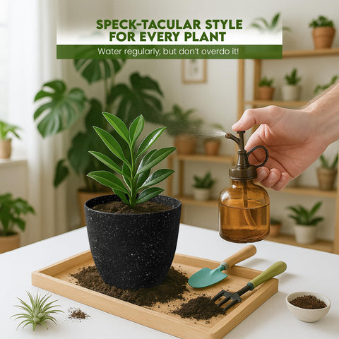 Utopia Home 6-inch spotty pot on a desk, ideal for herbs.