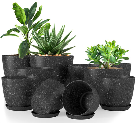 Utopia Home spotty pots 7-inch on sunny windowsill for small succulents.