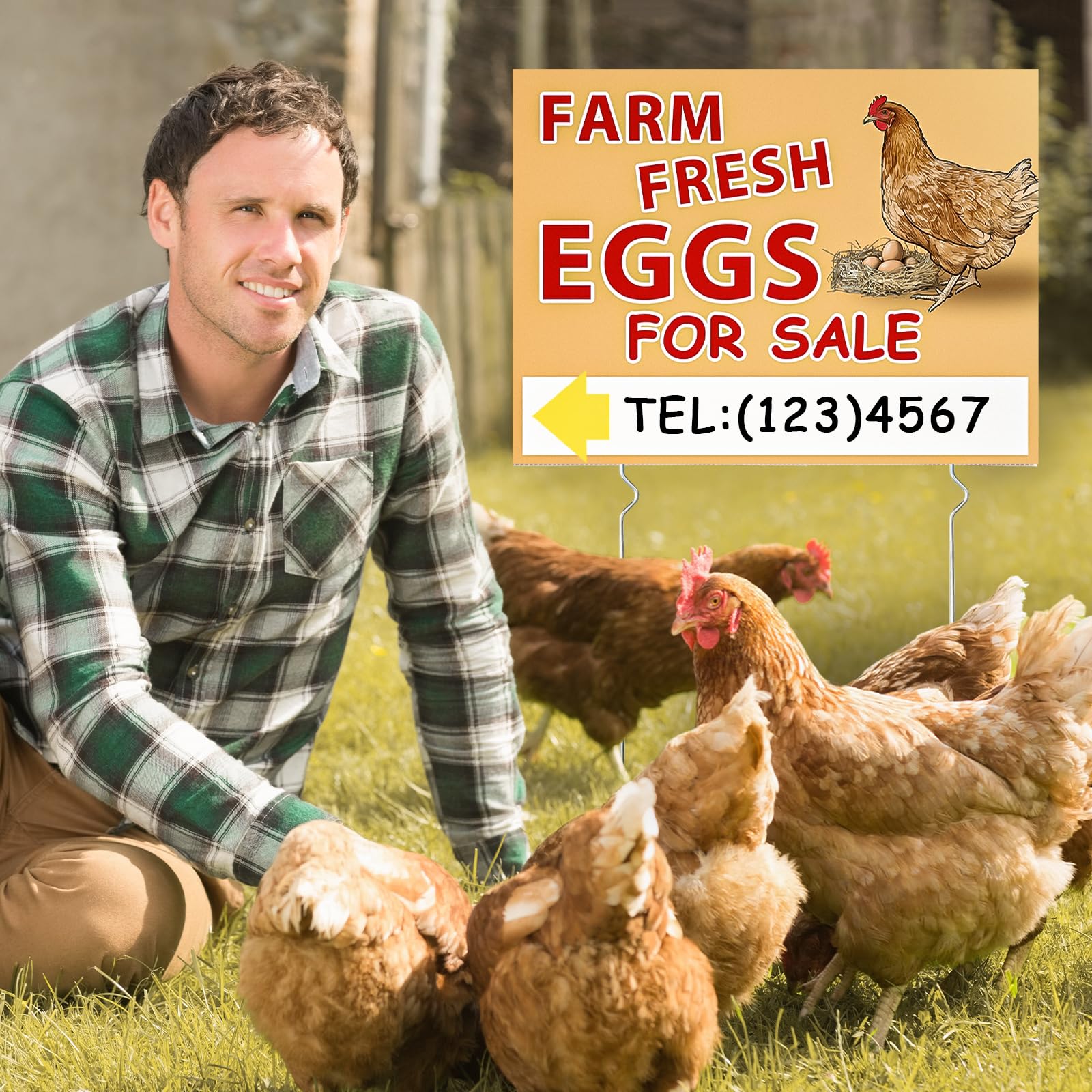 UTOUMON egg sign with metal stakes adds sturdy, outdoor-ready display.