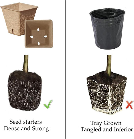 UTYLNE seed starter tray with water strainer supports controlled watering for healthy germination.