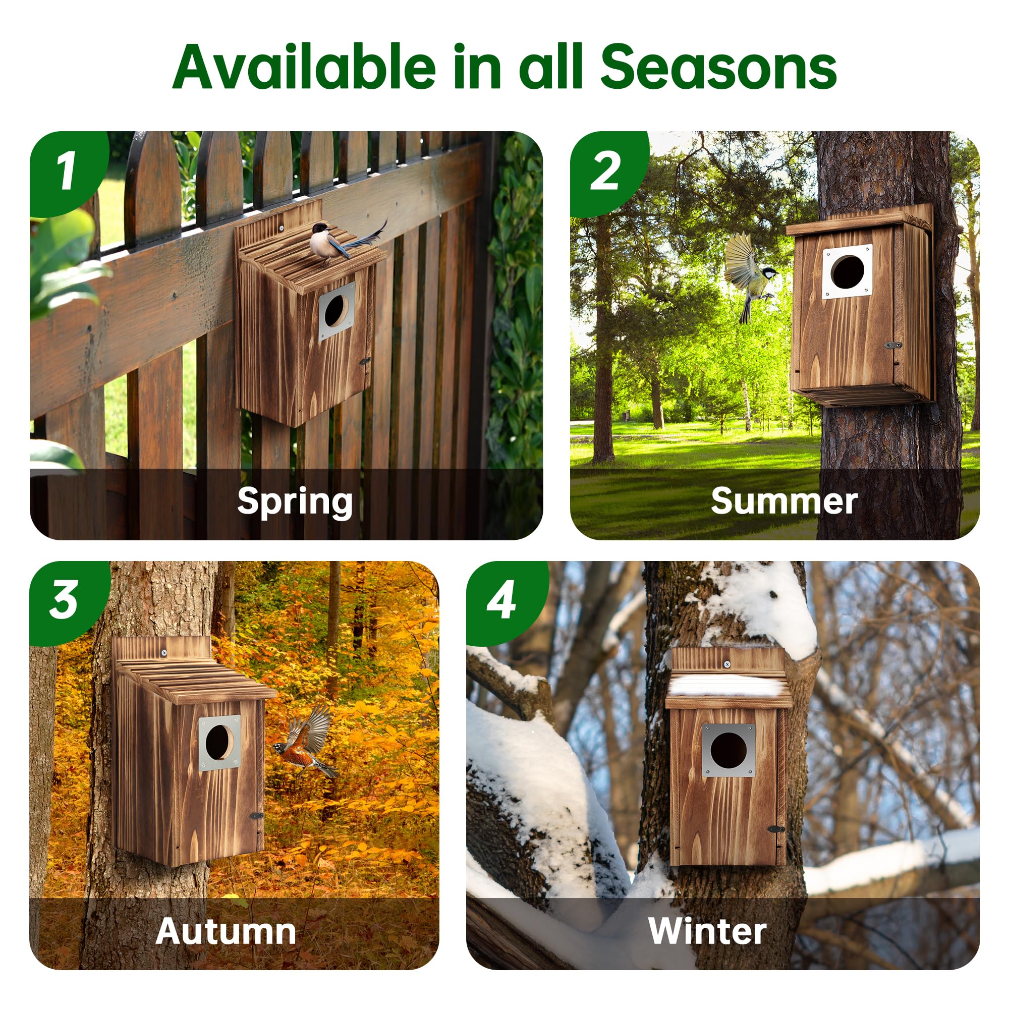 UUMENHA bird house mounted on a tree for versatile placement