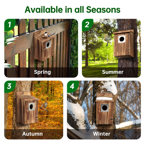 UUMENHA bird house mounted on a tree for versatile placement