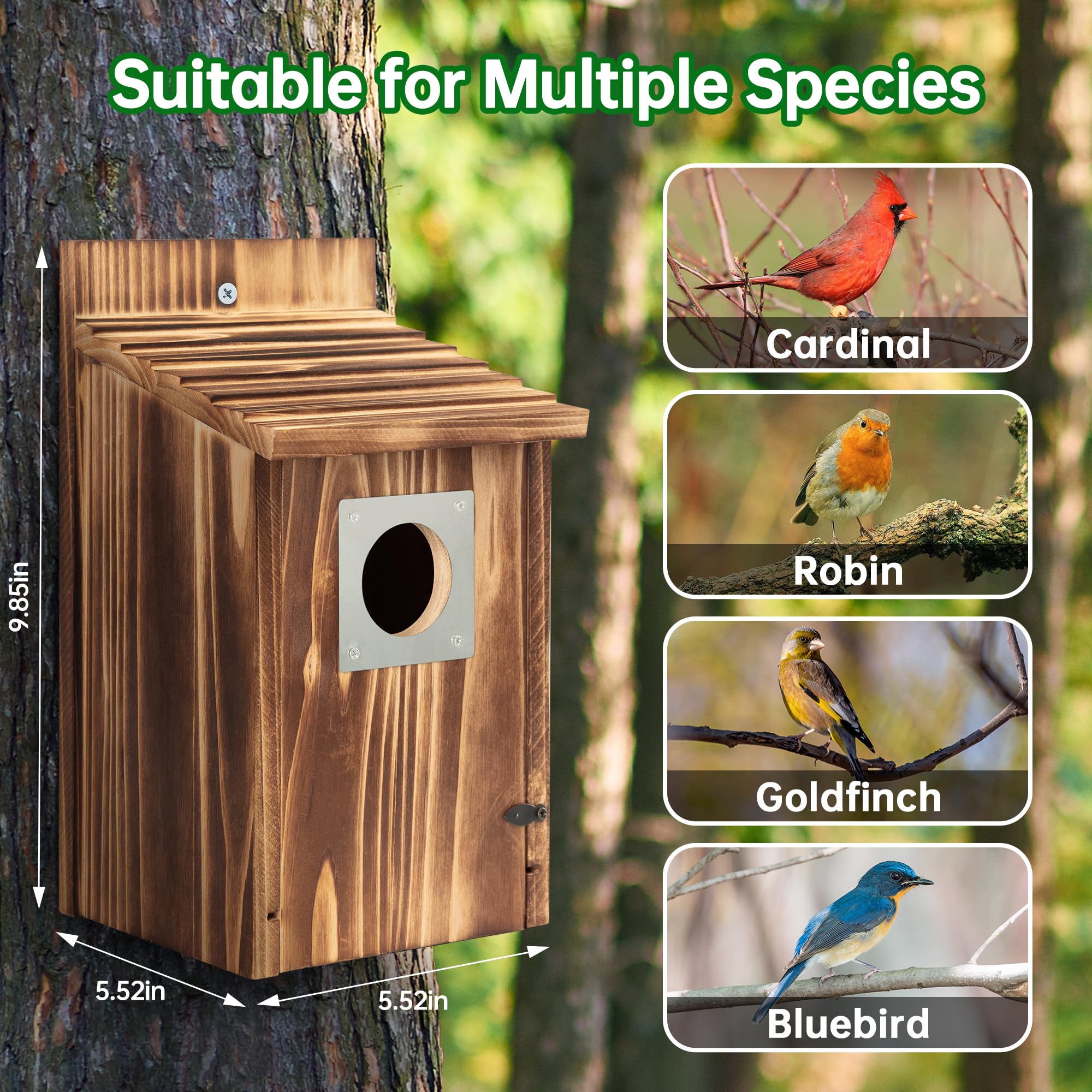 UUMENHA bird house uses rust-proof screws for longevity