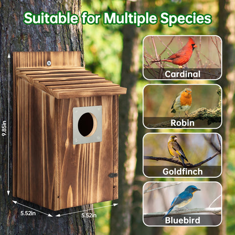 UUMENHA bird house uses rust-proof screws for longevity