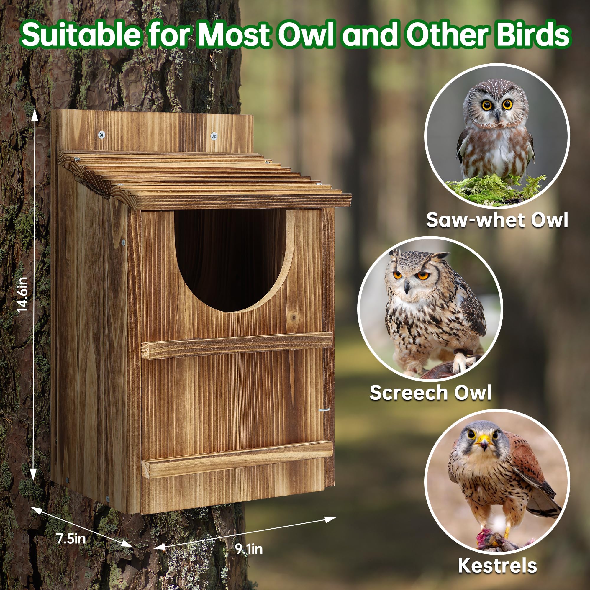 UUMENHA durable cedar owl house entrance hole for owl access and predator protection.