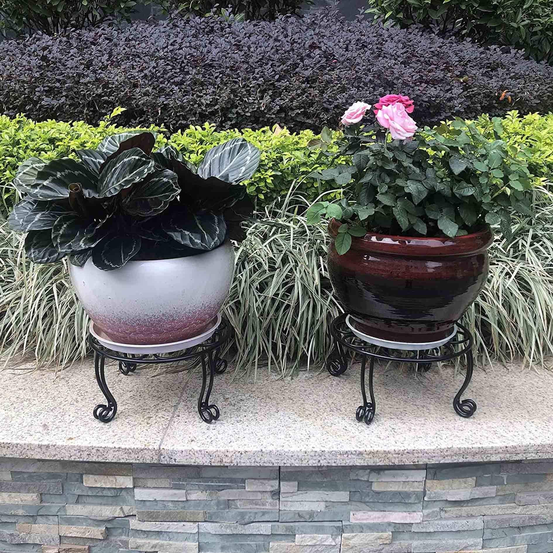 Outdoor-indoor use: plant elevated for better visibility and airflow.