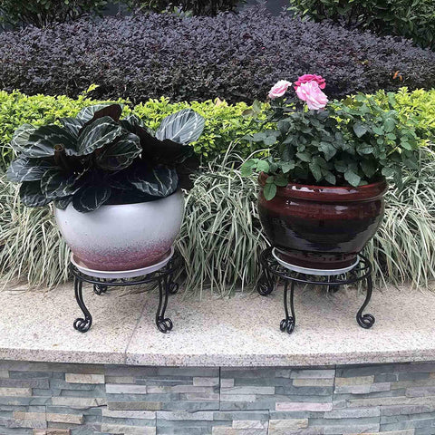 Outdoor-indoor use: plant elevated for better visibility and airflow.