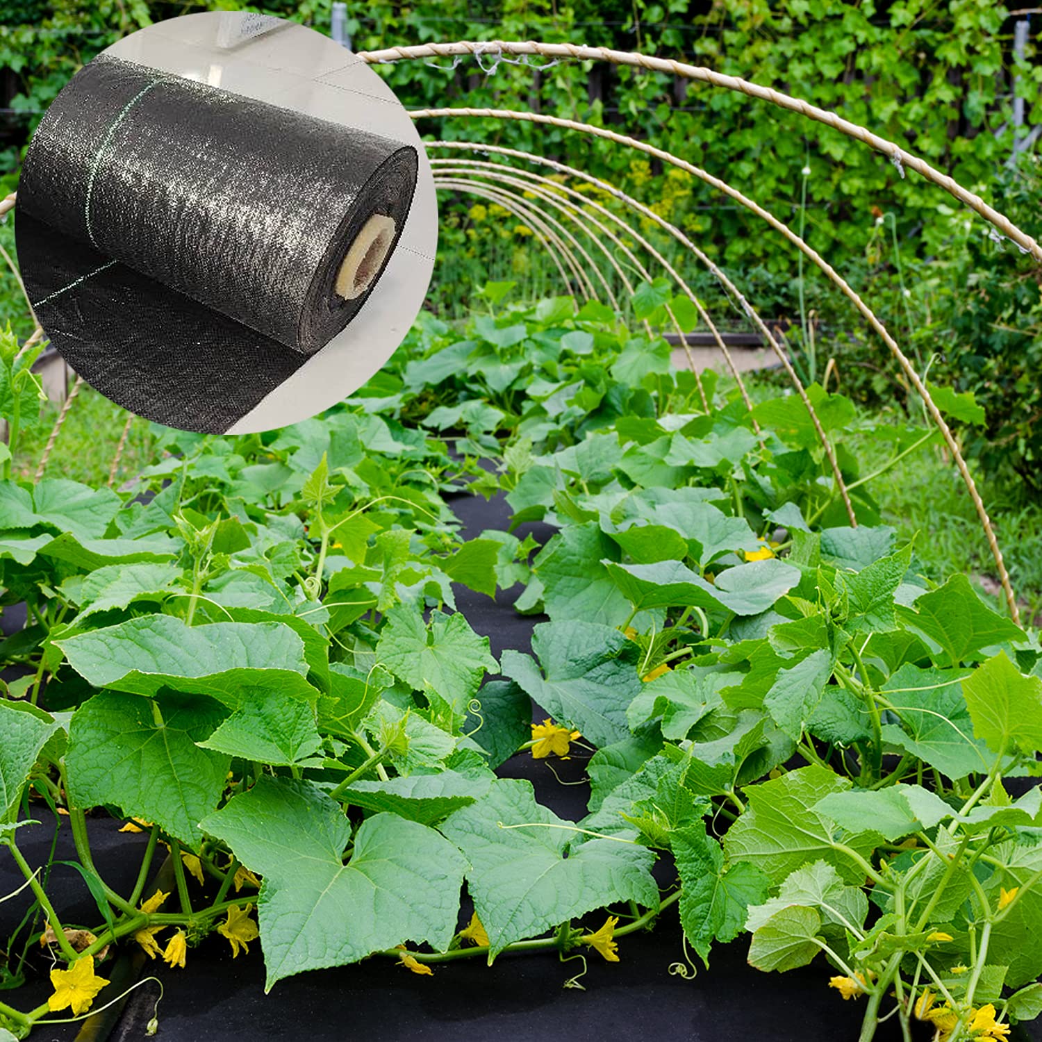 UWIOFF UV-treated weed barrier fabric withstands sun exposure for long-lasting gardens.