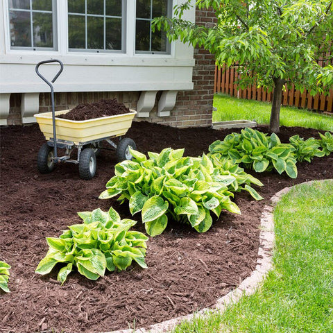 UWIOFF barrier as underlay for vegetable beds and raised beds supports healthy soil.