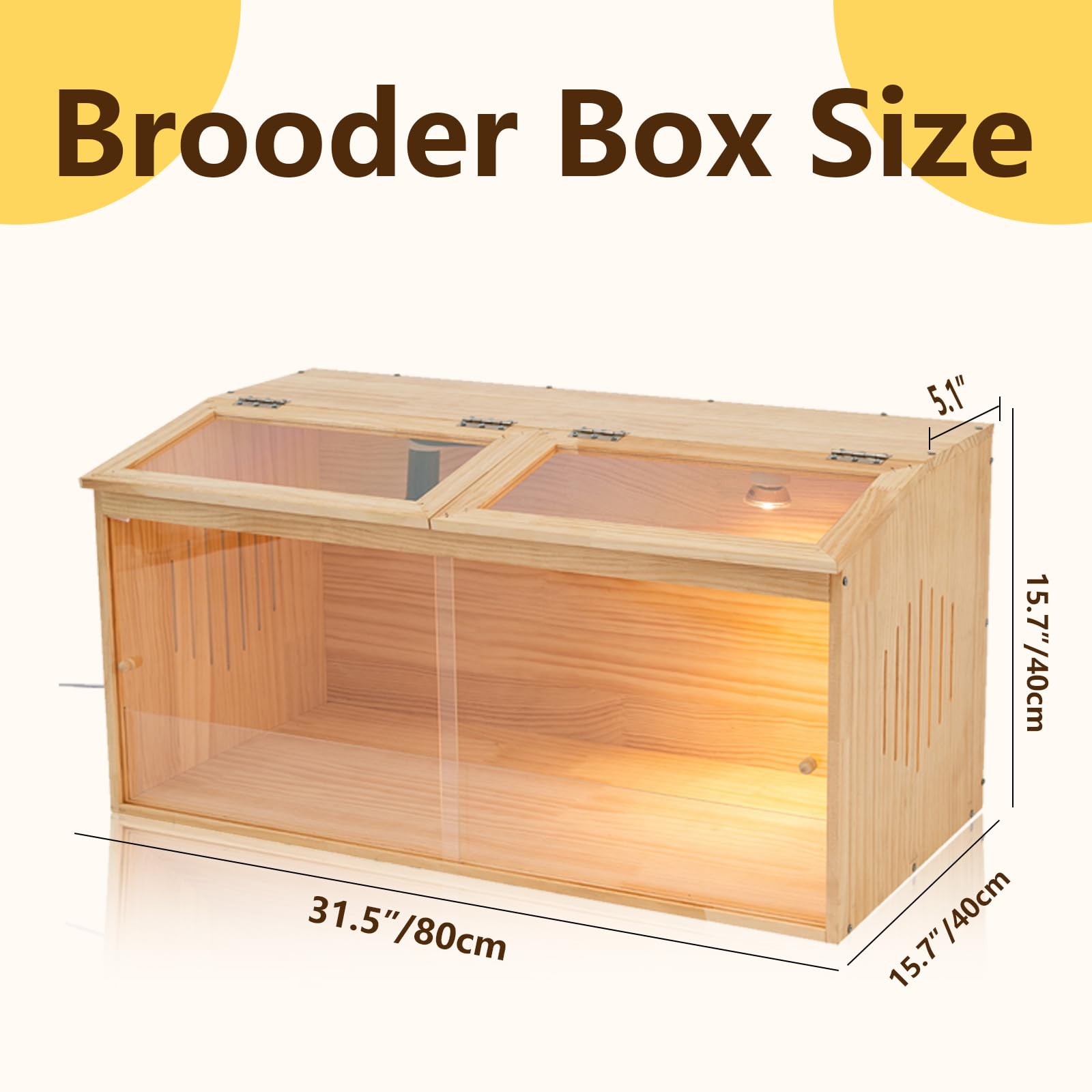 UYDJKLS front acrylic panel on the brooder box enables safe chick viewing.