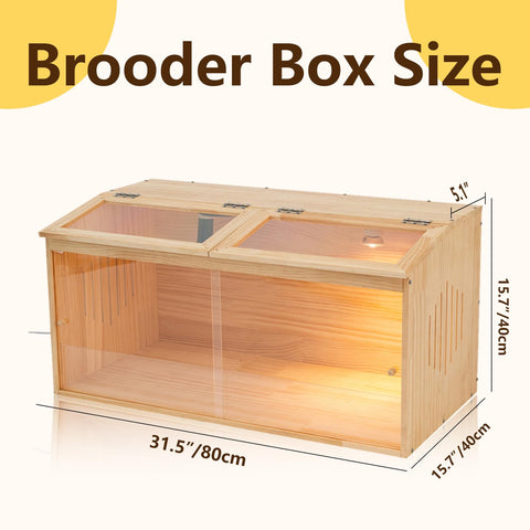 UYDJKLS front acrylic panel on the brooder box enables safe chick viewing.