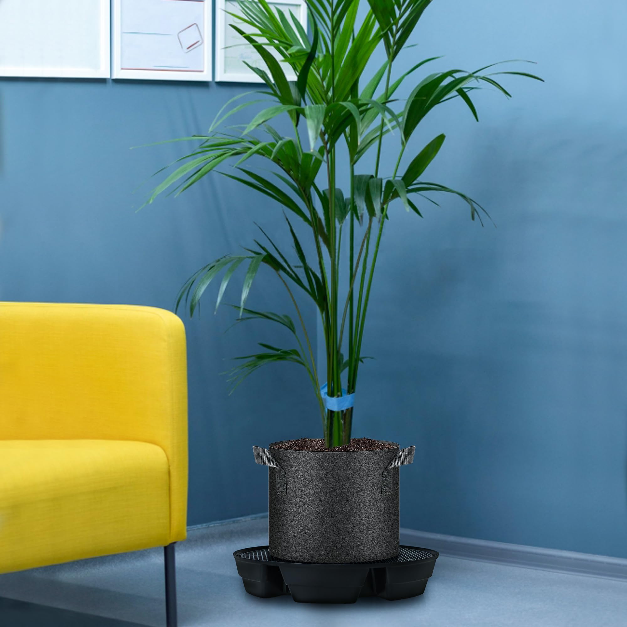 UYEDUJZ compatible with fabric pots up to 5 gallons for indoor or outdoor use