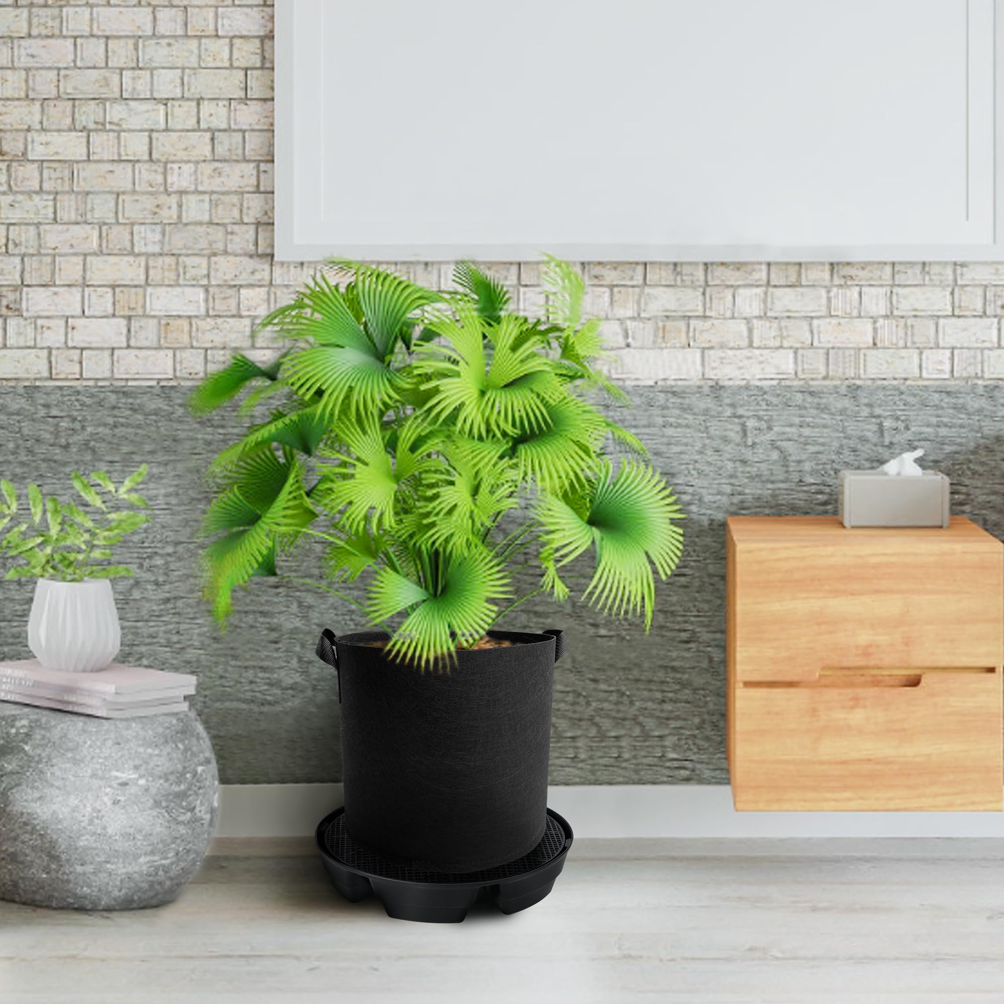 UYEDUJZ auto-watering system helps prevent over- or under-watering in greenhouses