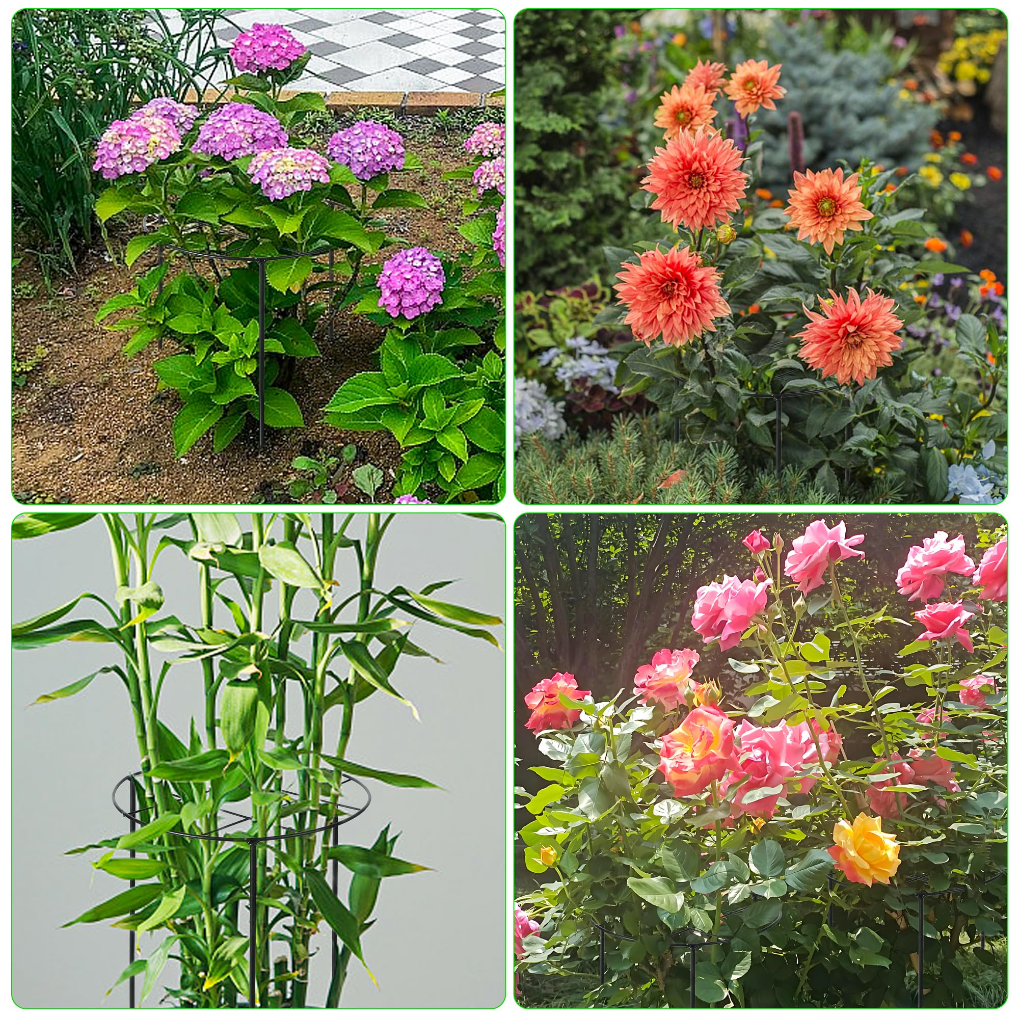 UYEDUJZ wind and rain protection for peonies with garden protectors