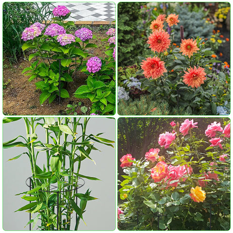 UYEDUJZ wind and rain protection for peonies with garden protectors
