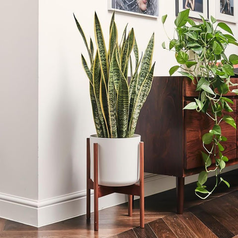 UYEENGY natural bamboo finish adds warm, earthy tone.