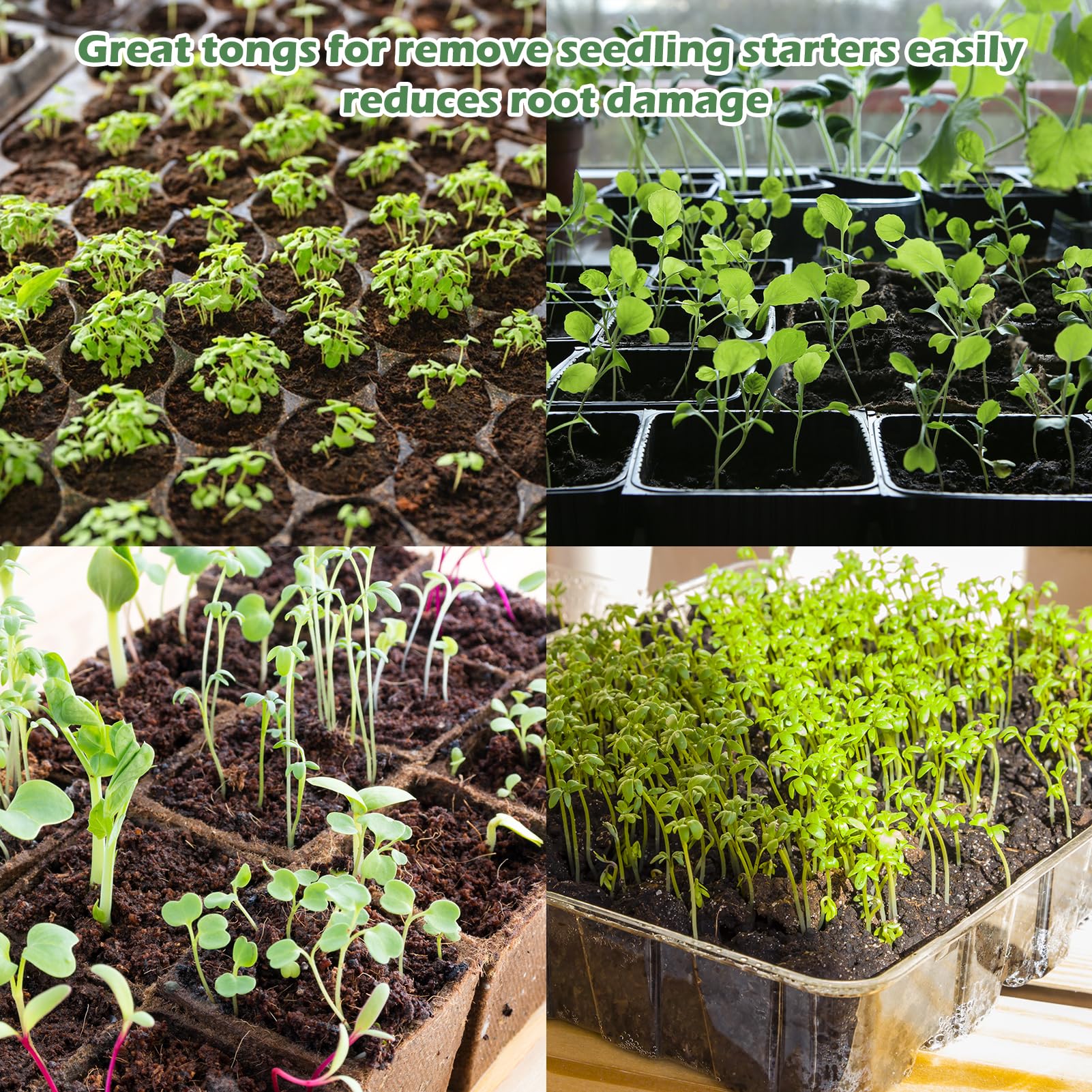 Uyeesi seedling tongs gift-pack ready for gardening enthusiasts.