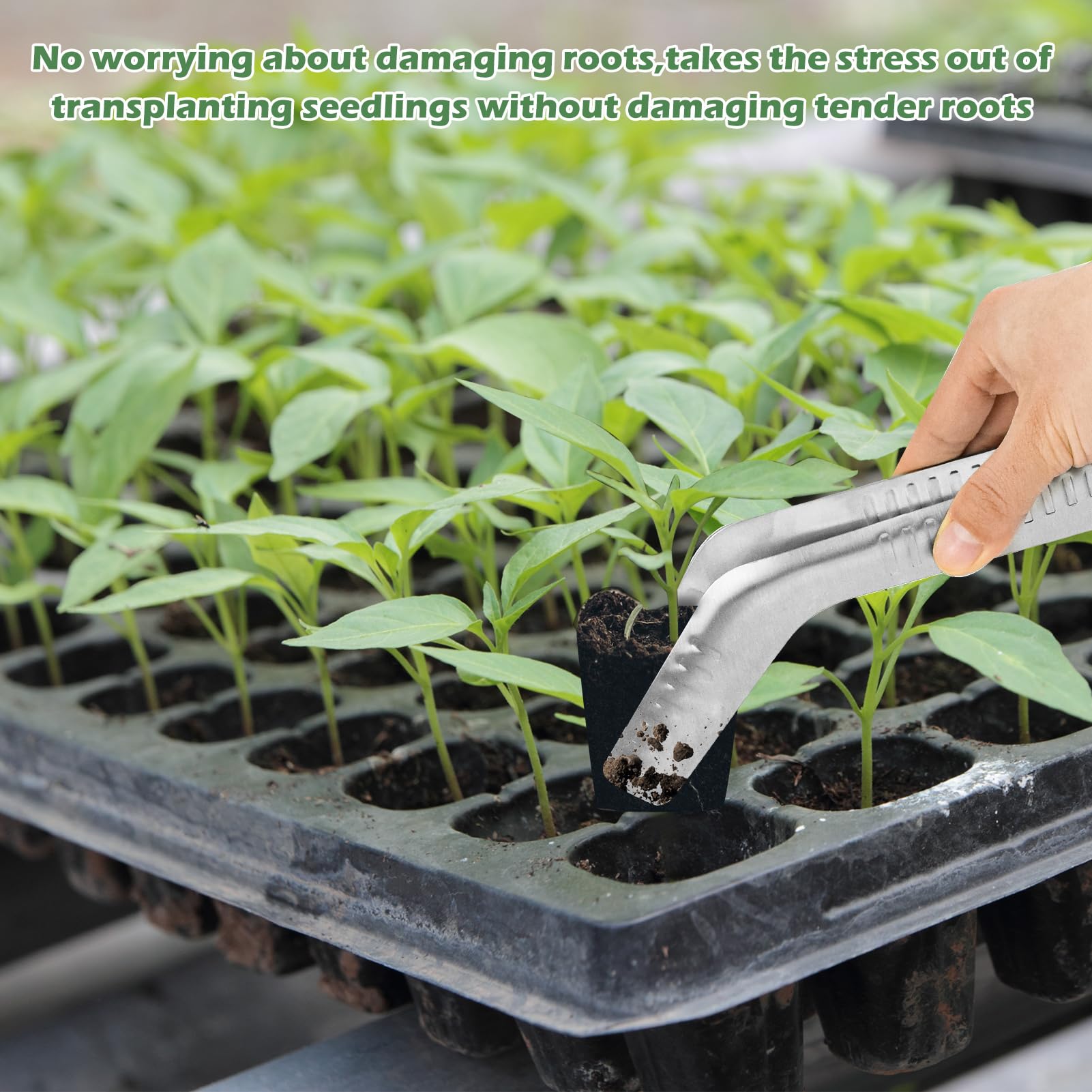 Uyeesi seedling tongs removing seedlings from tray cells with minimal disturbance.
