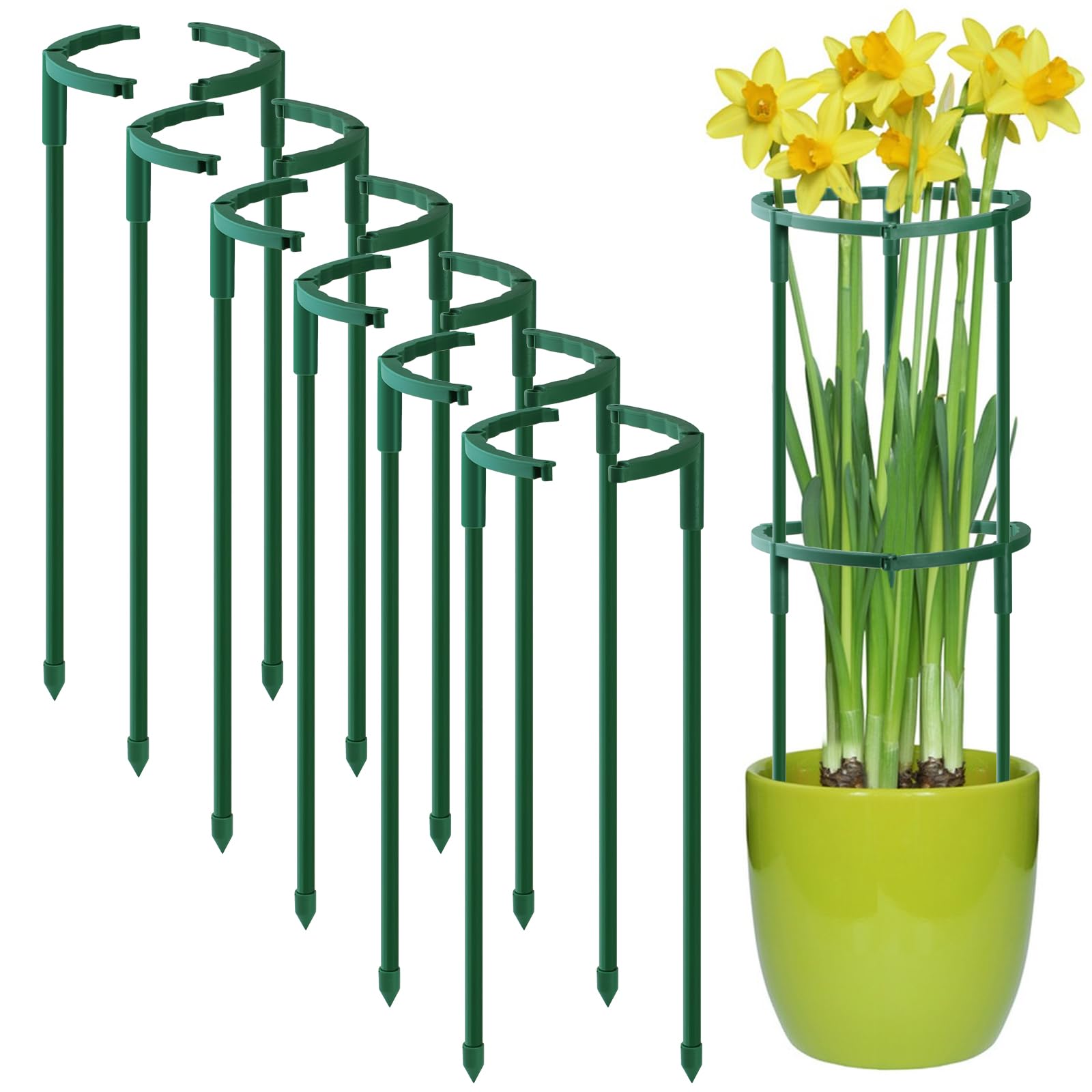 Uzoli 12-pack plant support stakes set with semi-circular arches for sturdy plant guidance.