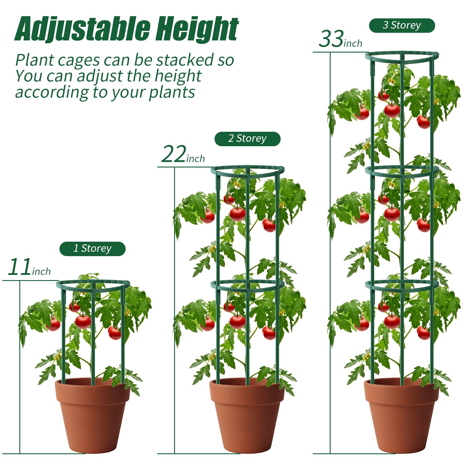 Uzoli tomato and garden plant support ideal for upright growth and tidy lines.