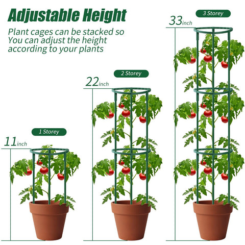 Uzoli tomato and garden plant support ideal for upright growth and tidy lines.