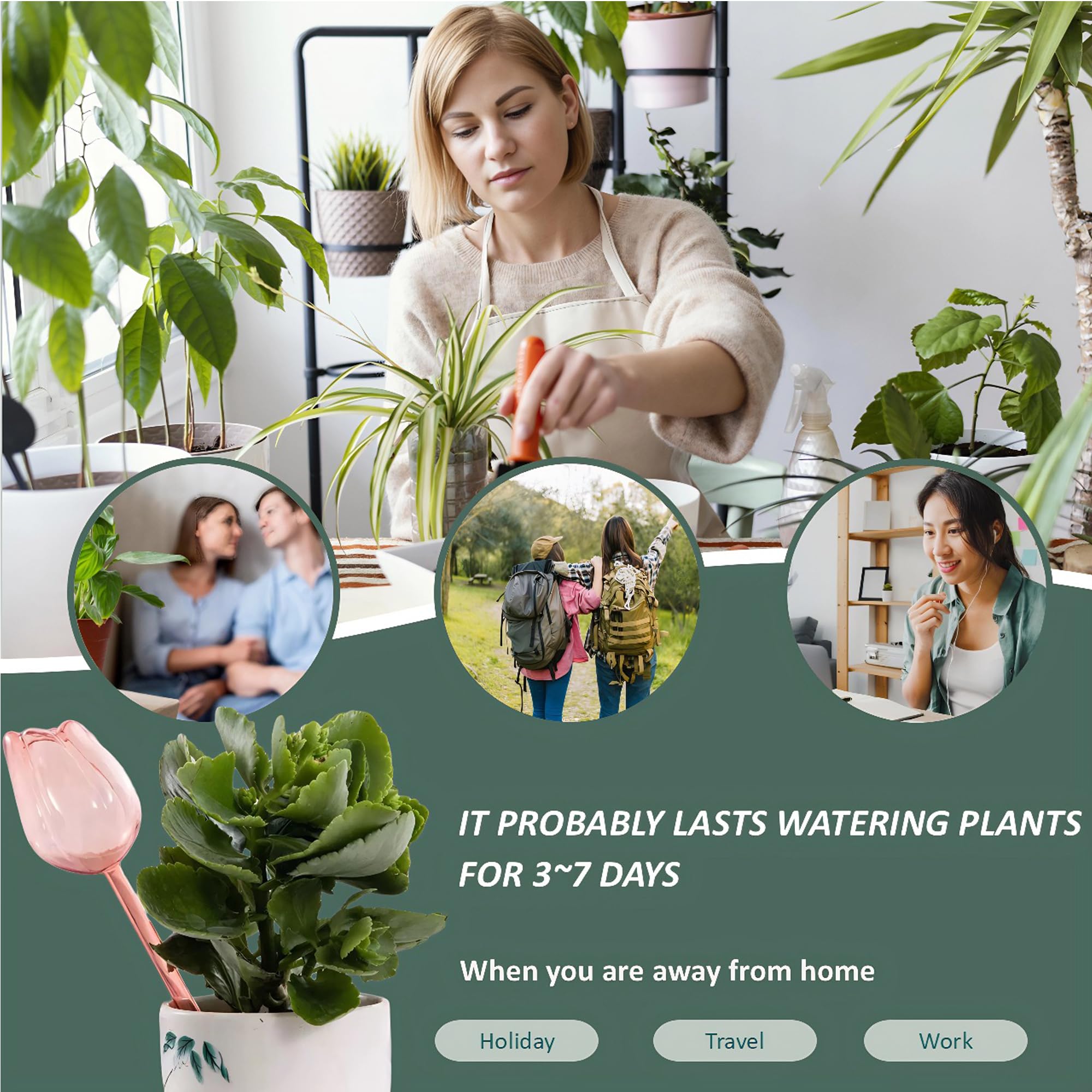Durable, user-friendly watering solution supports healthy plant growth