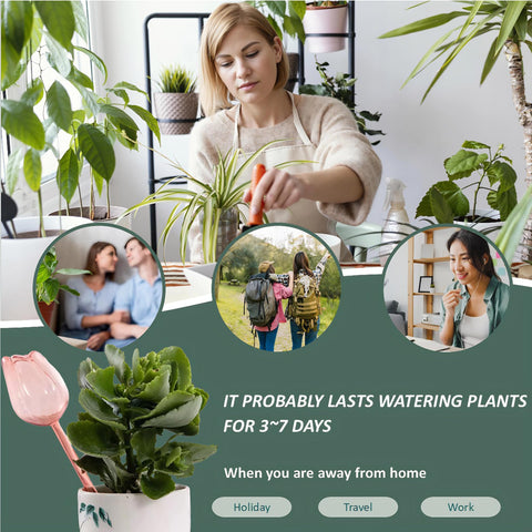 Durable, user-friendly watering solution supports healthy plant growth