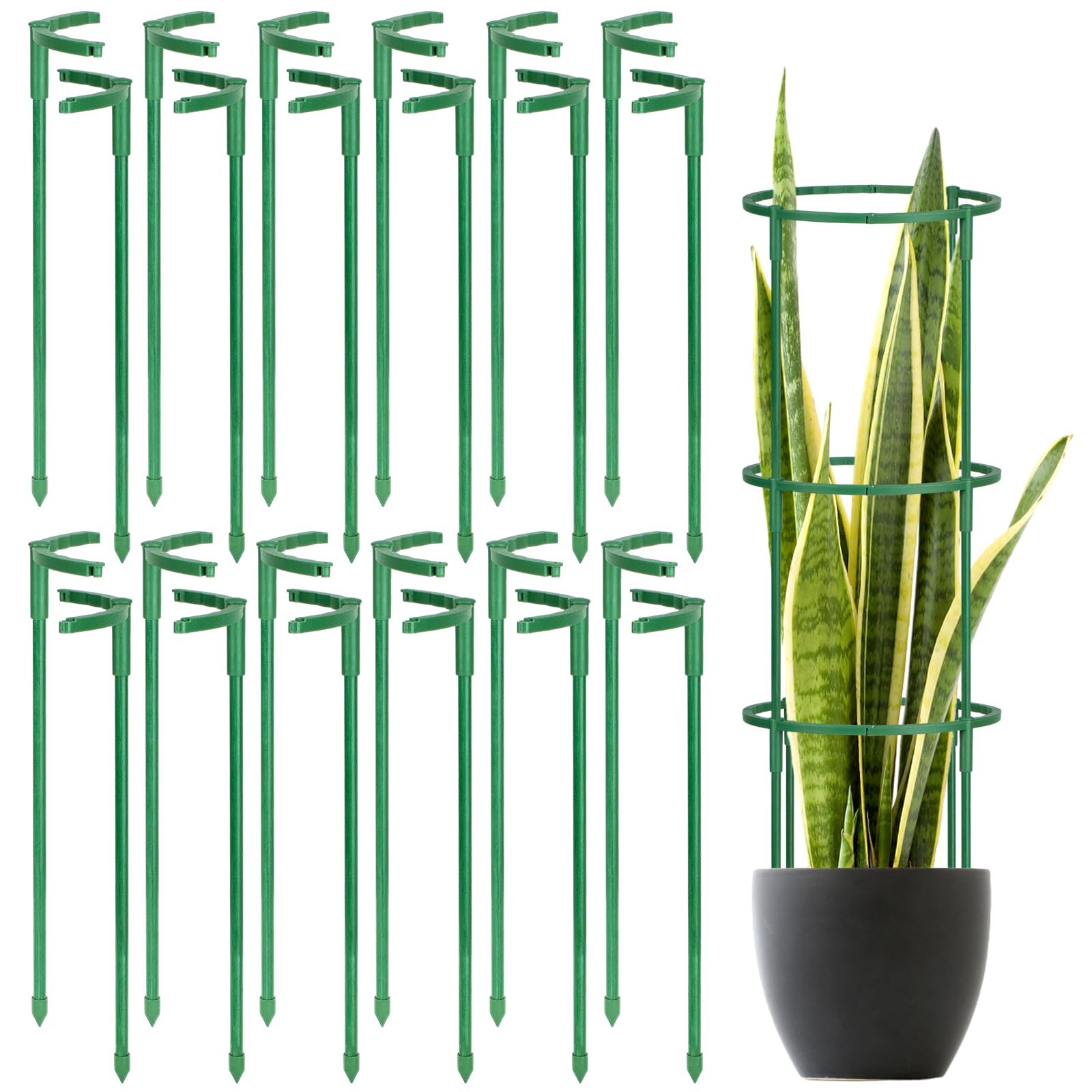 VACONICO half-round stake for upright plant support and easy stacking