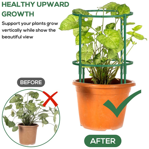 VACONICO plant-stake-arc supports stems and prevents sprawling