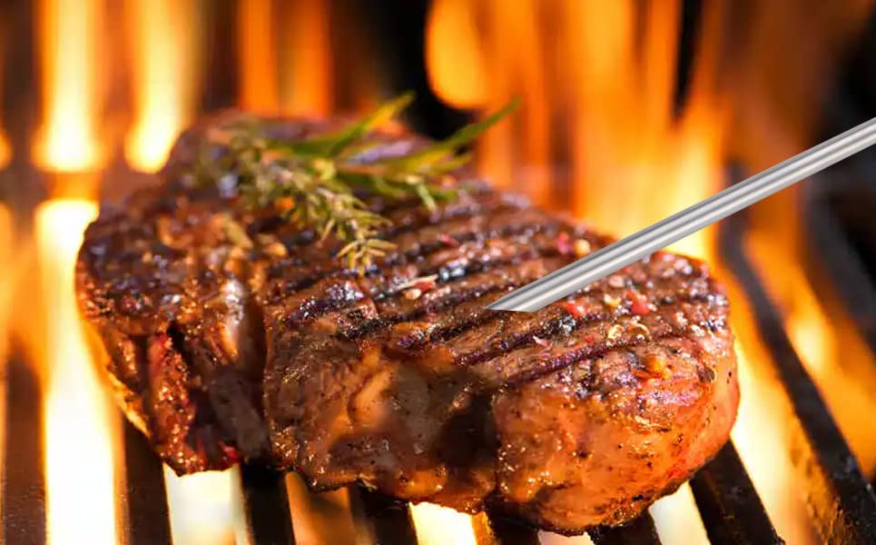VAGLOBA grill probes with clips for steady placement during barbecue
