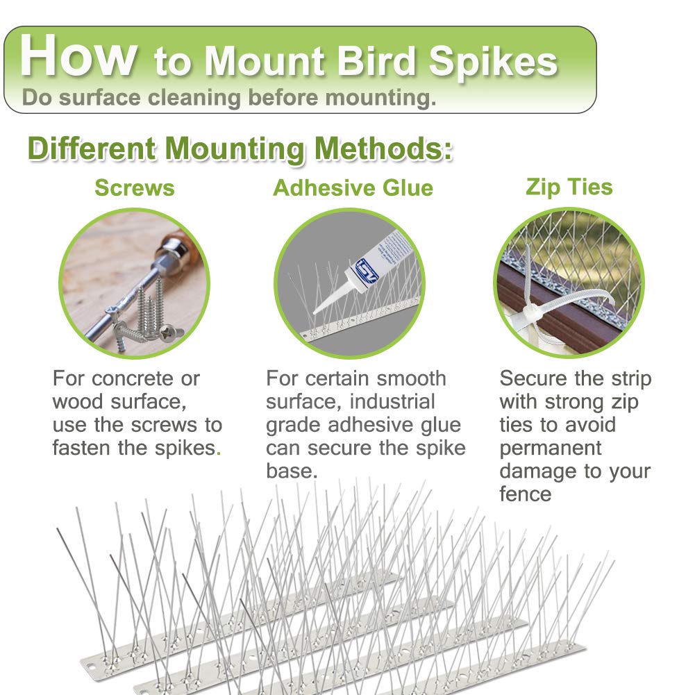Easy-to-see humane design of Valibe bird spikes blocks perching safely.