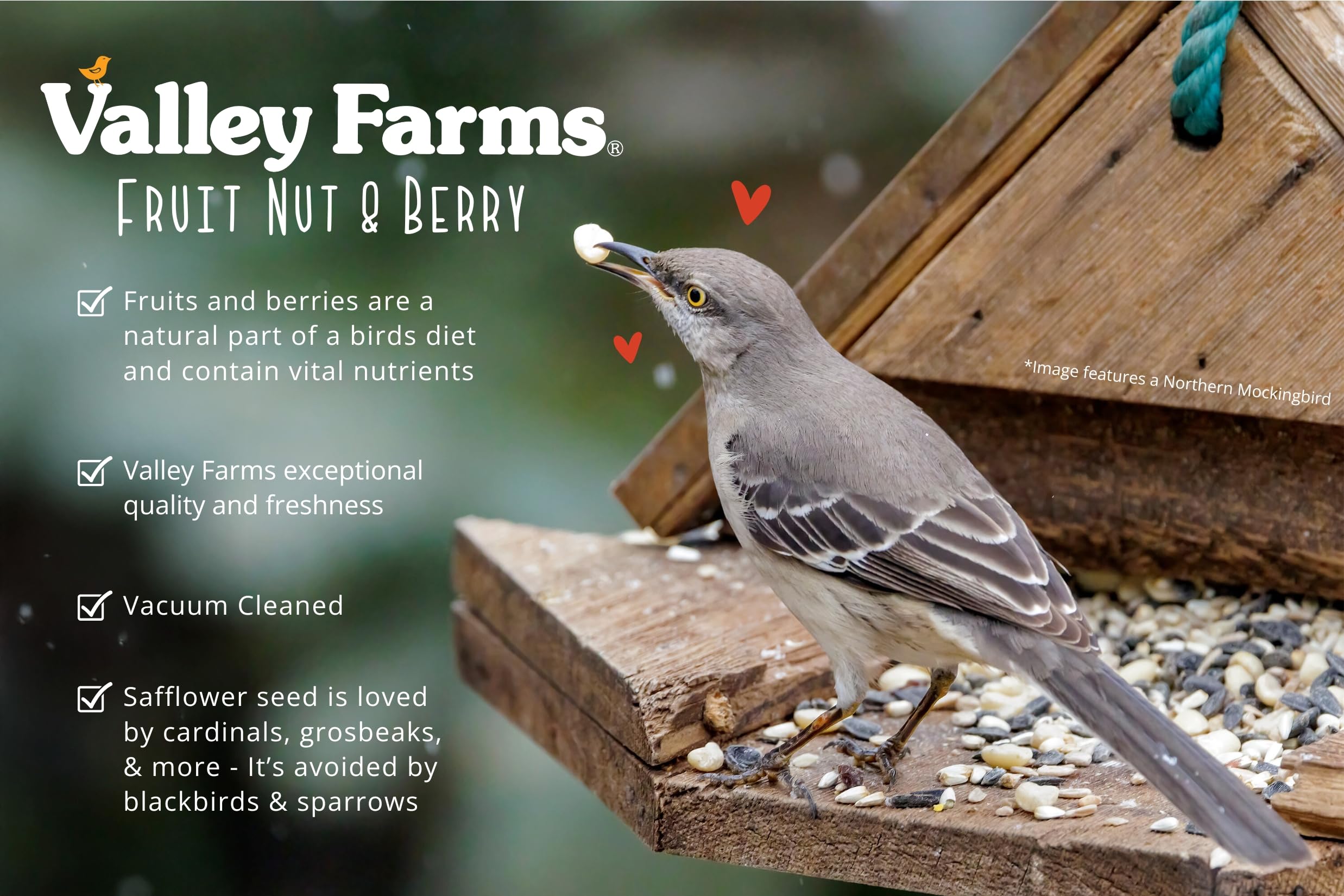 Valley Farms birds feeding outdoors using the Fruit Nut & Berry mix.