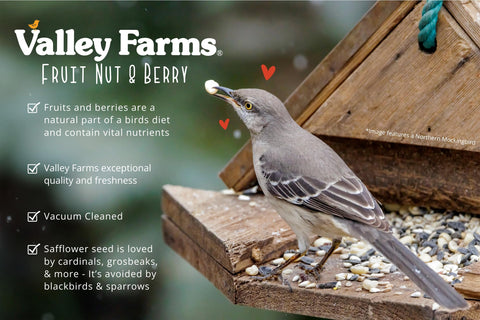 Valley Farms birds feeding outdoors using the Fruit Nut & Berry mix.