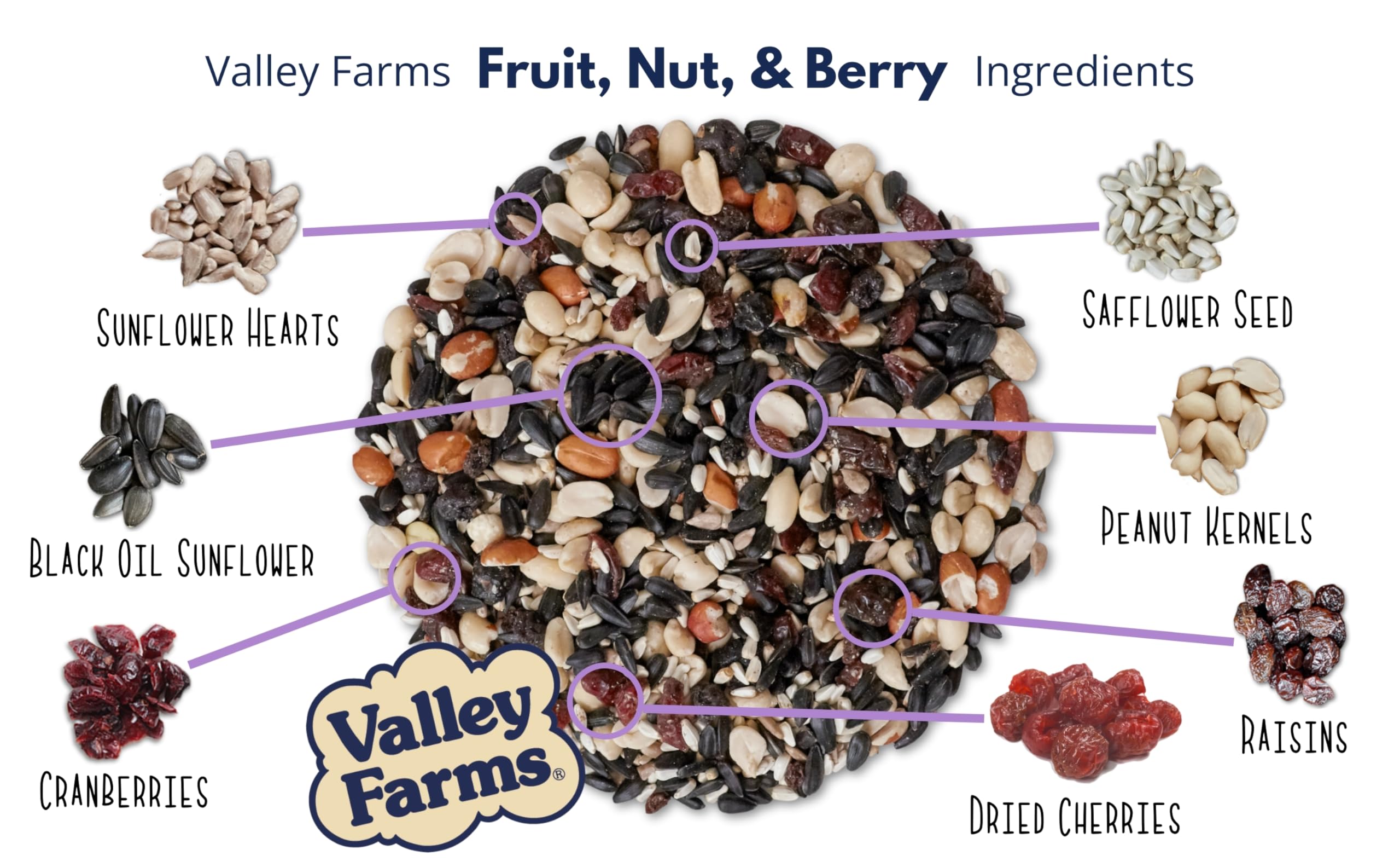 Valley Farms black oil sunflower close-up appealing to chickadees and woodpeckers.