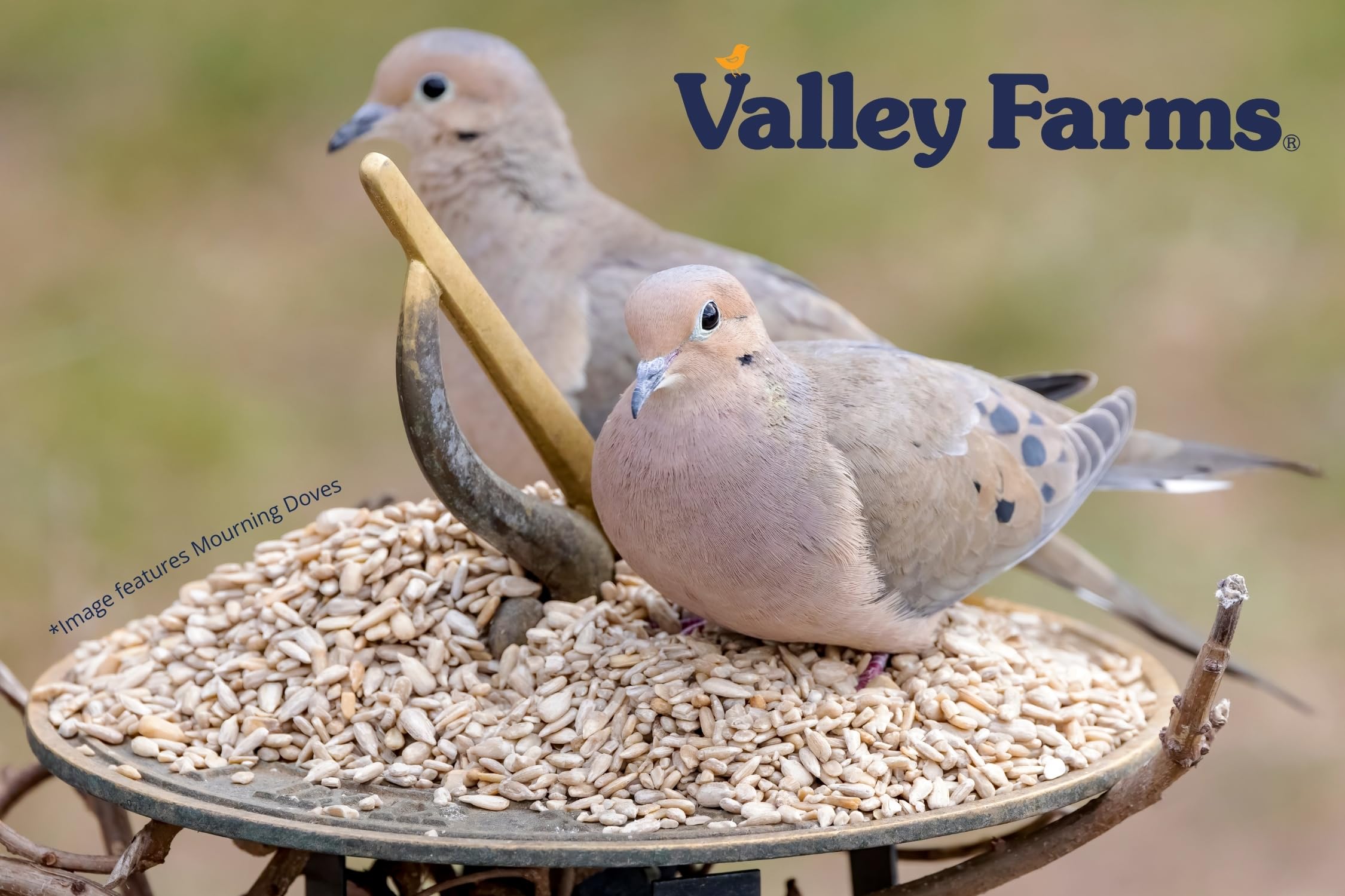 Valley Farms sunflower hearts ready for easy, nutritious bird feeding.