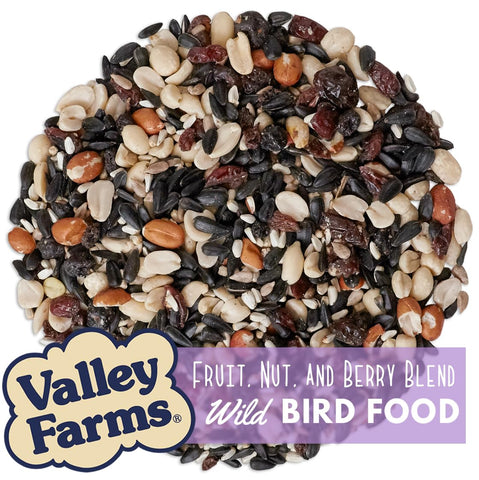 Valley Farms Fruit Nut & Berry dried fruits close-up highlighting natural flavors for wild birds.