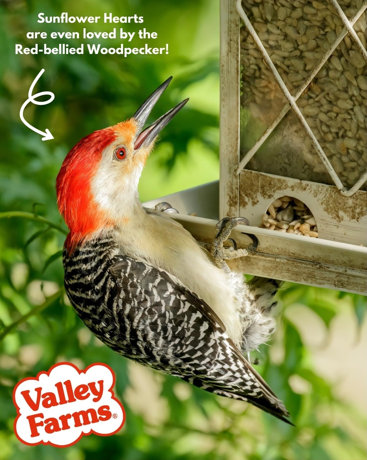 Valley Farms proudly made in the USA by a family-owned brand.