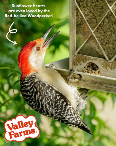 Valley Farms proudly made in the USA by a family-owned brand.