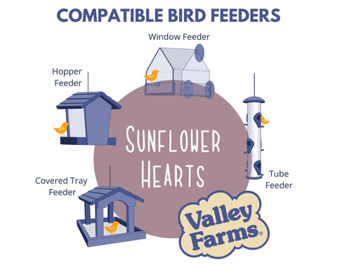 Valley Farms hearts in a window feeder attract songbirds with minimal debris.