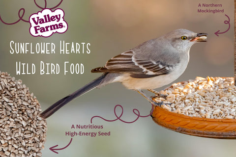 Valley Farms hearts compatible with tube, hopper, window, and tray feeders.