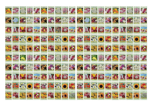 Valley Greene 200 seed packets included for easy garden planning.