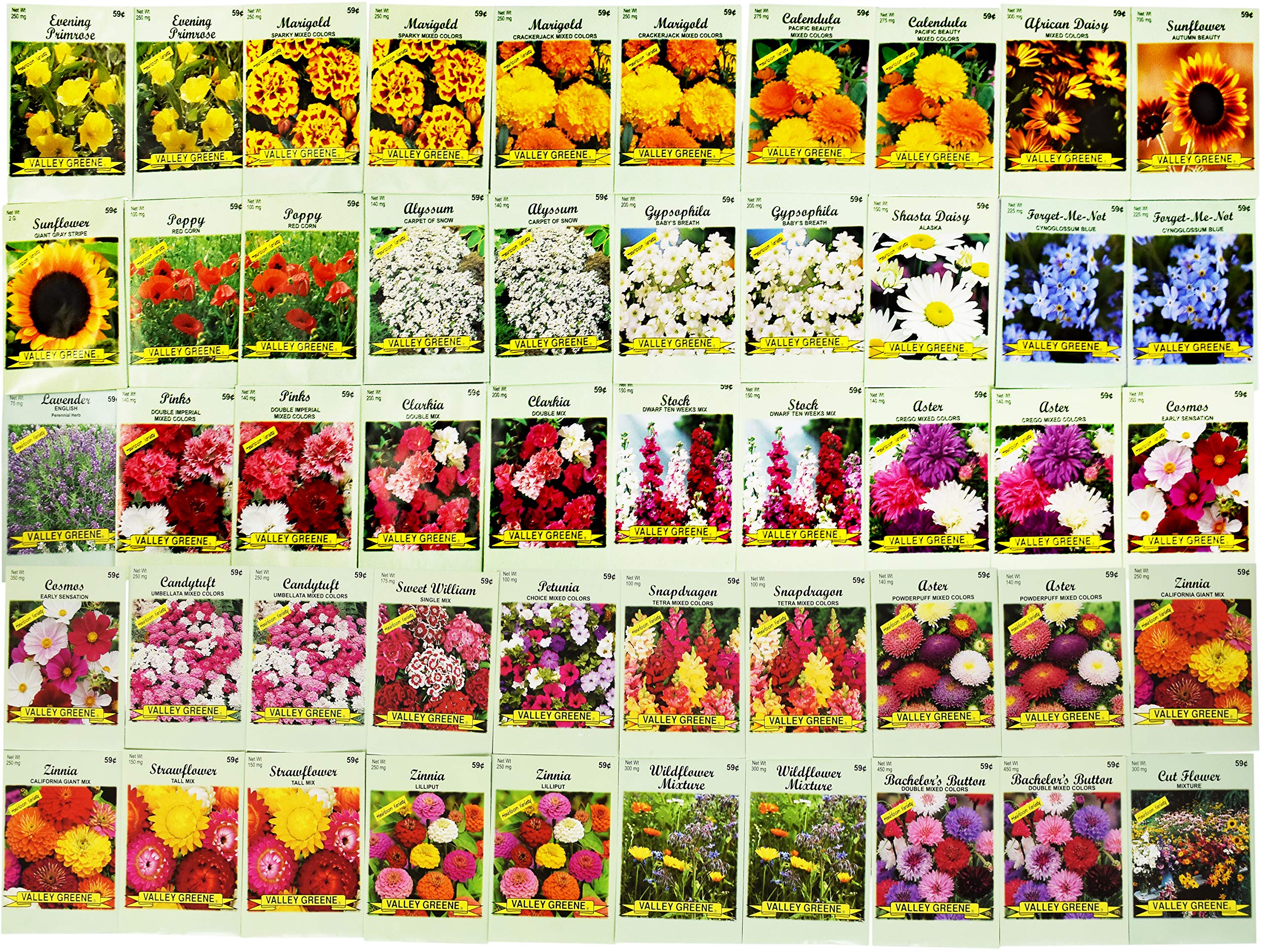 Valley Greene diverse flower varieties for colorful borders and bouquets