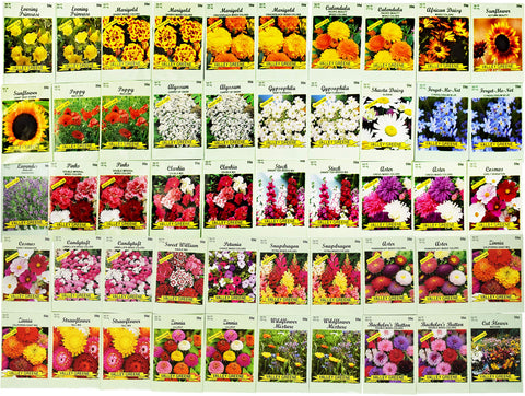 Valley Greene diverse flower varieties for colorful borders and bouquets