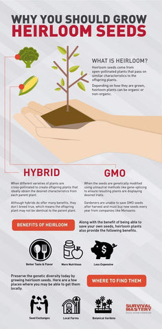 Valley Greene seed storage tips image—keep seeds cool and dry for future seasons.