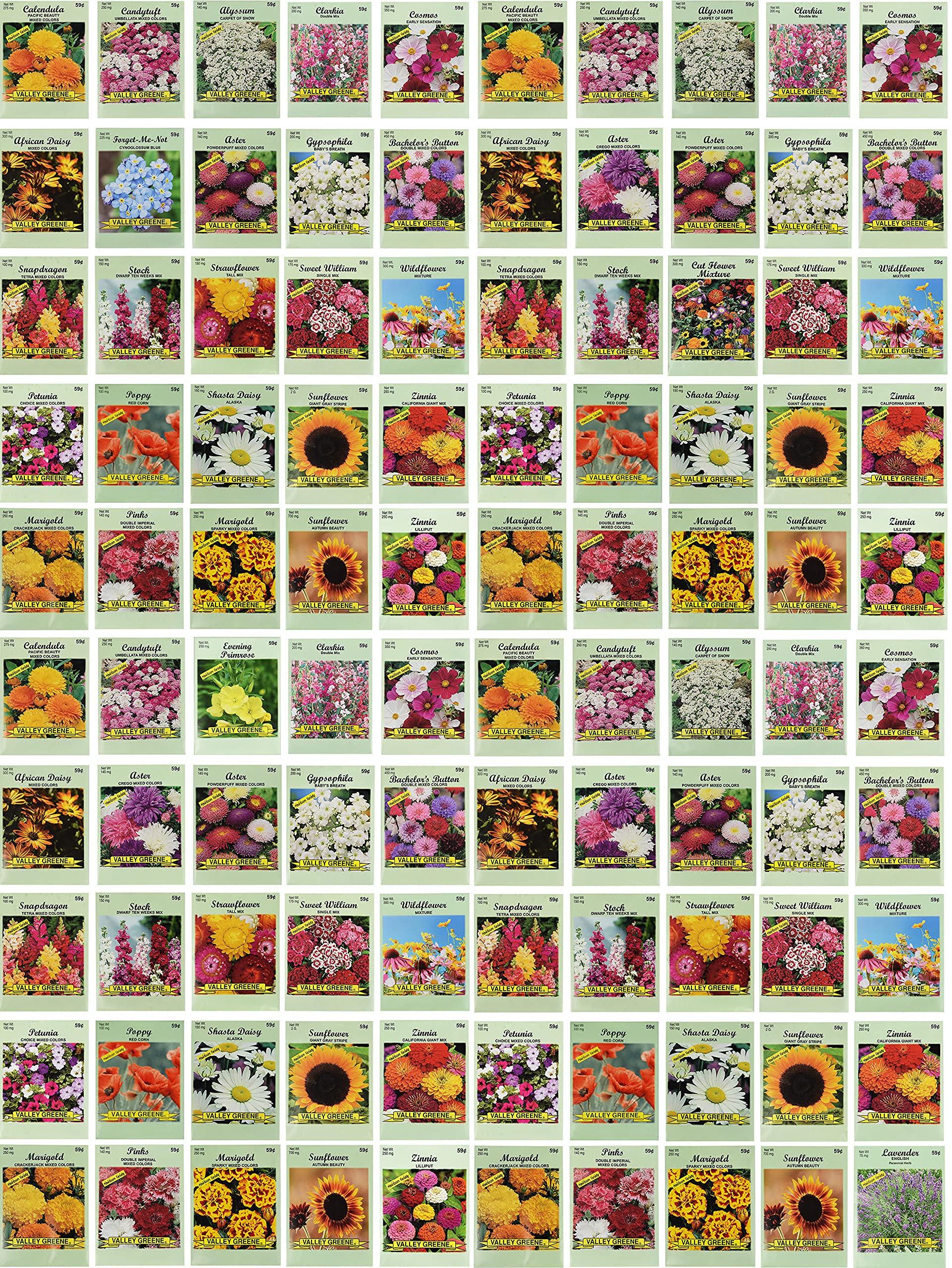 Valley Greene set of 100 flower seed packets for a diverse, colorful garden.