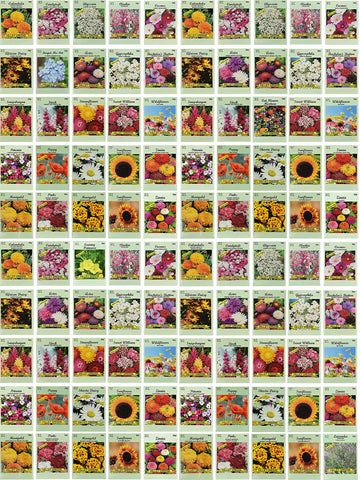 Valley Greene set of 100 flower seed packets for a diverse, colorful garden.