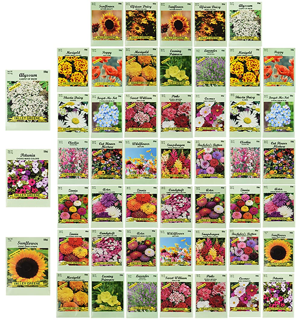 Valley Greene Set50 seed packets collection for vibrant, pollinator-friendly color