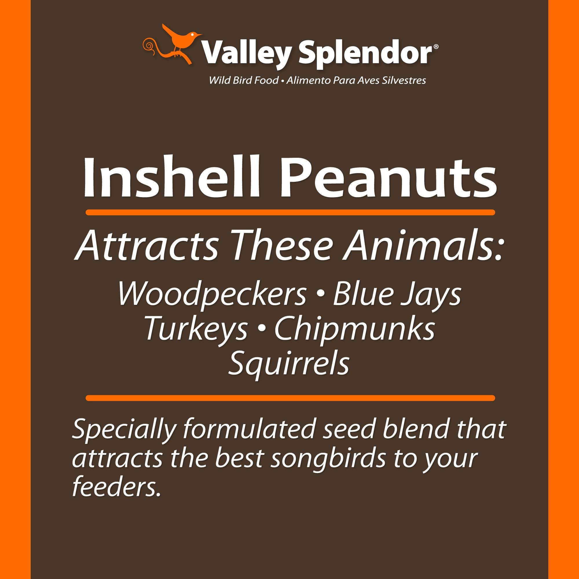 Valley Splendor backyard wildlife snack inviting squirrels to snack