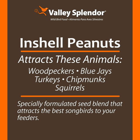 Valley Splendor backyard wildlife snack inviting squirrels to snack