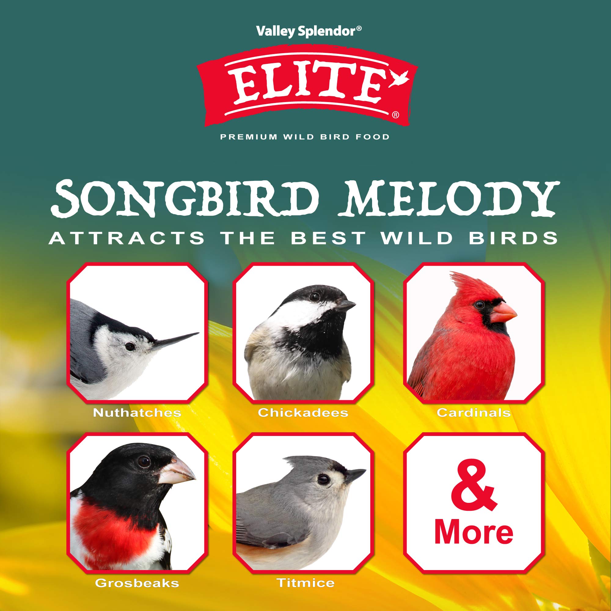 Valley Splendor Songbird Melody bag label highlights premium ingredients for energetic backyard birds.